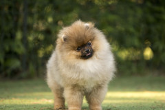 Fredy-05