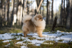 Garry-04.01