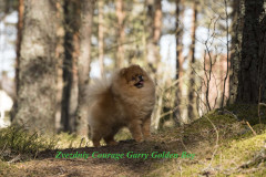 Garry-2019.03.05