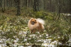 Garry-2020.02.06
