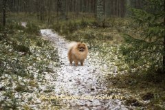 Garry-2020.02.08